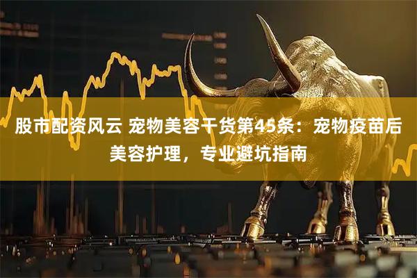 股市配资风云 宠物美容干货第45条：宠物疫苗后美容护理，专业避坑指南