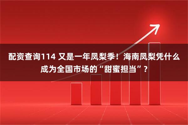 配资查询114 又是一年凤梨季！海南凤梨凭什么成为全国市场的“甜蜜担当”？